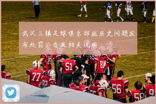 武汉三镇足球俱乐部就历史问题发布处罚公告及相关说明