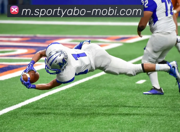 App Interface Preview