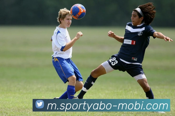 亚博体育APP 封面图